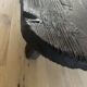 Table basse forme organique