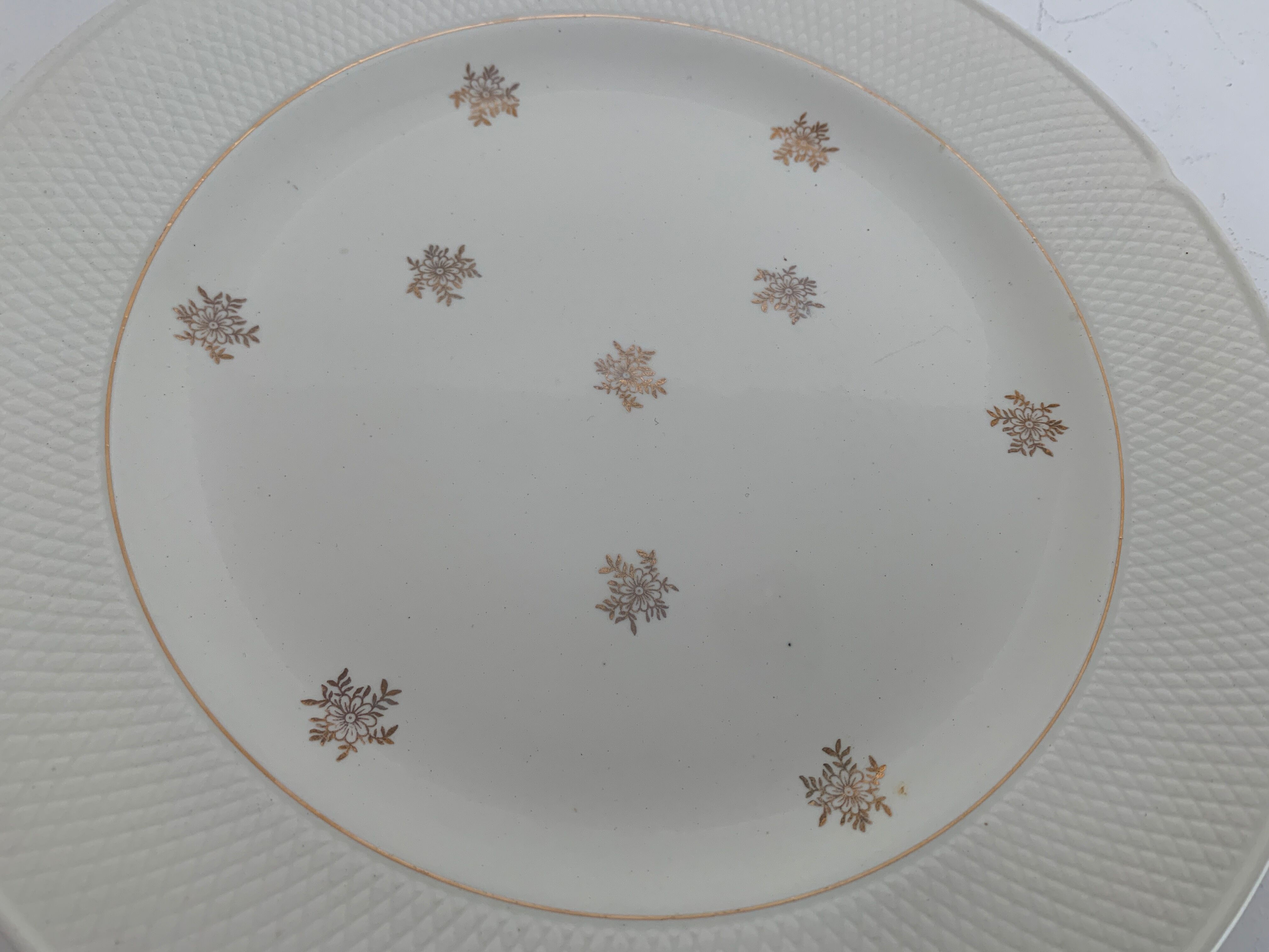 11 Salins flat plates