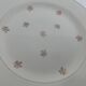 11 Salins flat plates