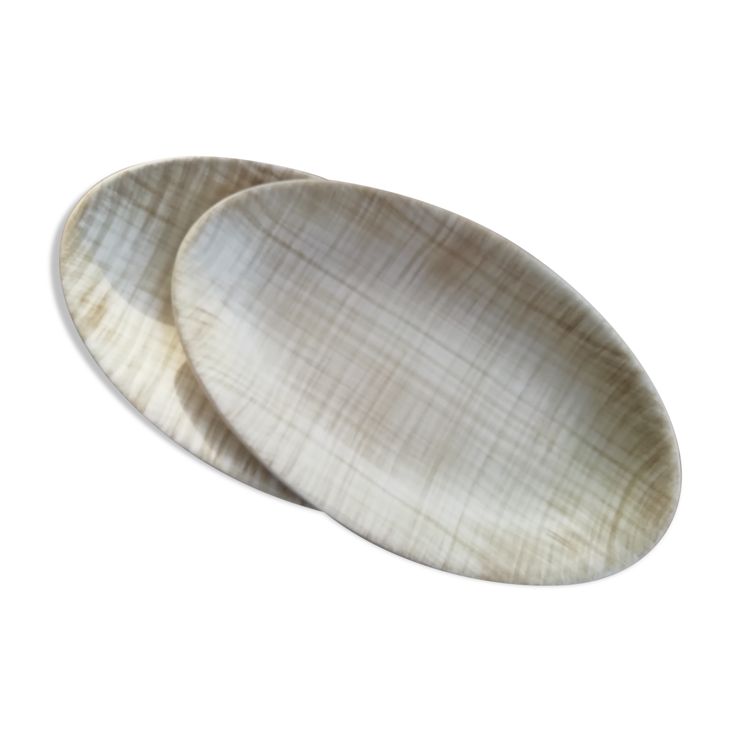 Pair of saline ravines