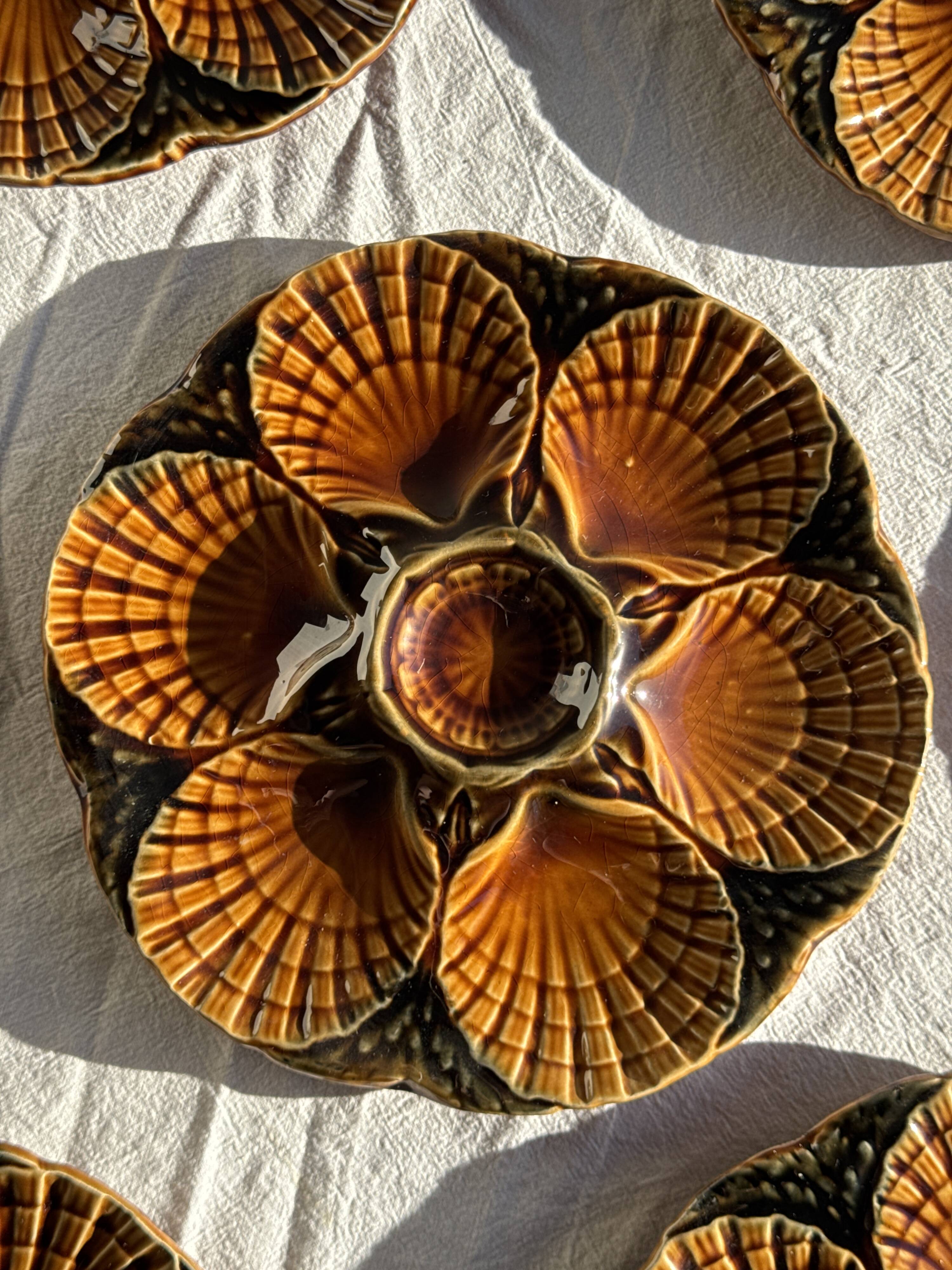 Set of 12 oyster or shell plates in glazed brown ceramic D