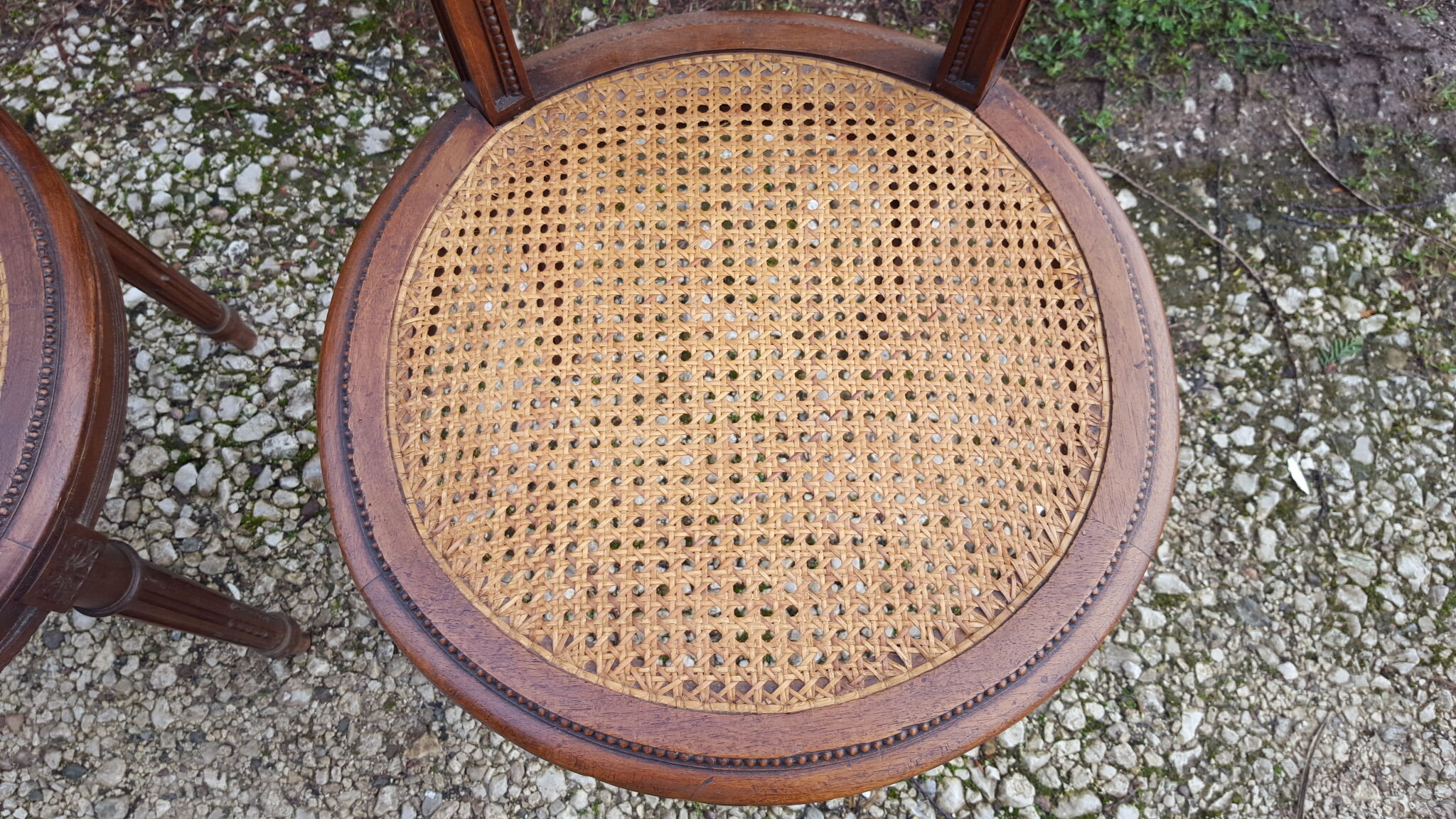 Pair of Louis XVI style walnut chairs