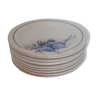 10 hollow plates in Sarreguemines. White background with blue flowers.