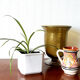 Biot bubbled glass vase