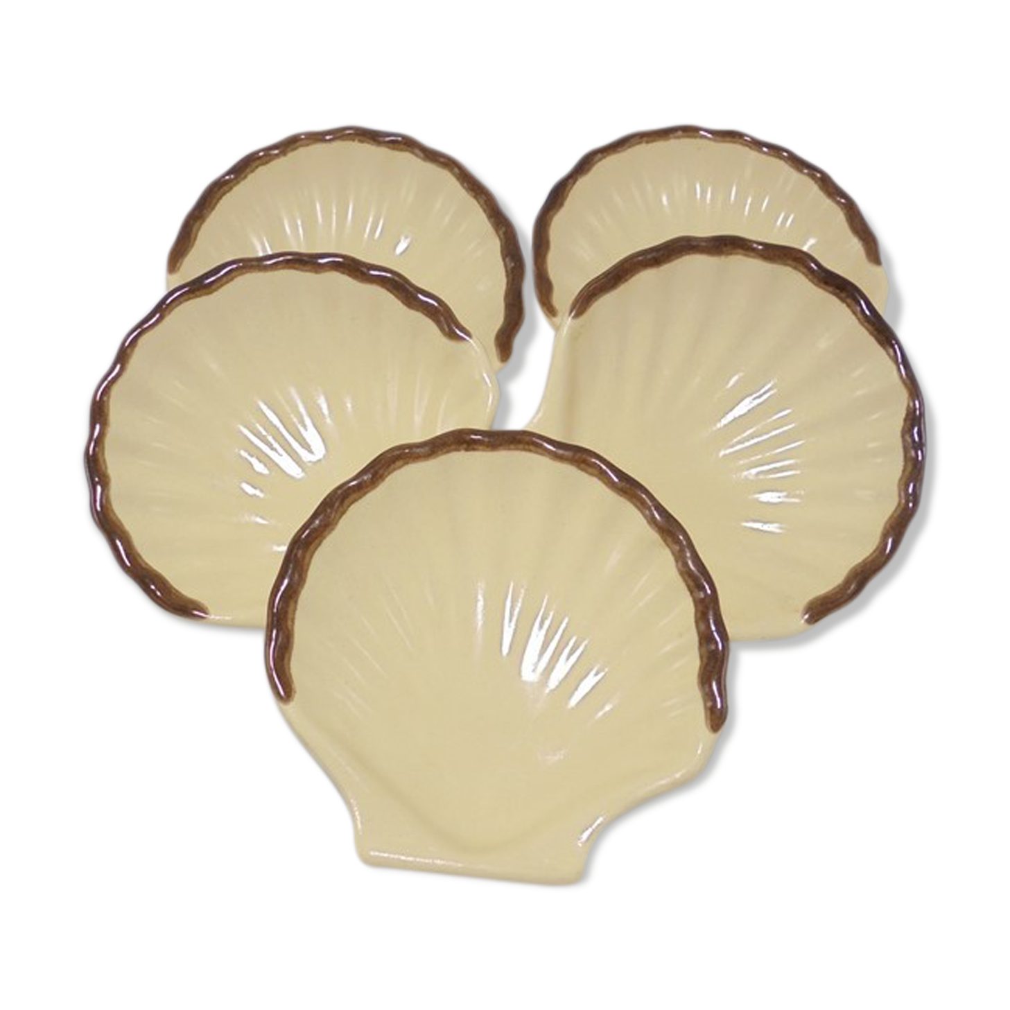 Set of 5 scallops
