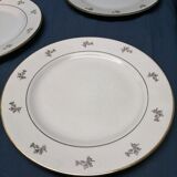 Porcelain plates Opaque Provence Dorure lot of 5