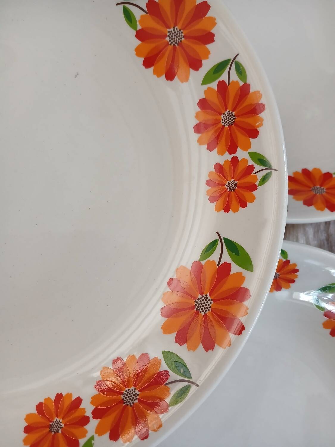 5 vintage deep plates Moulin des Loups