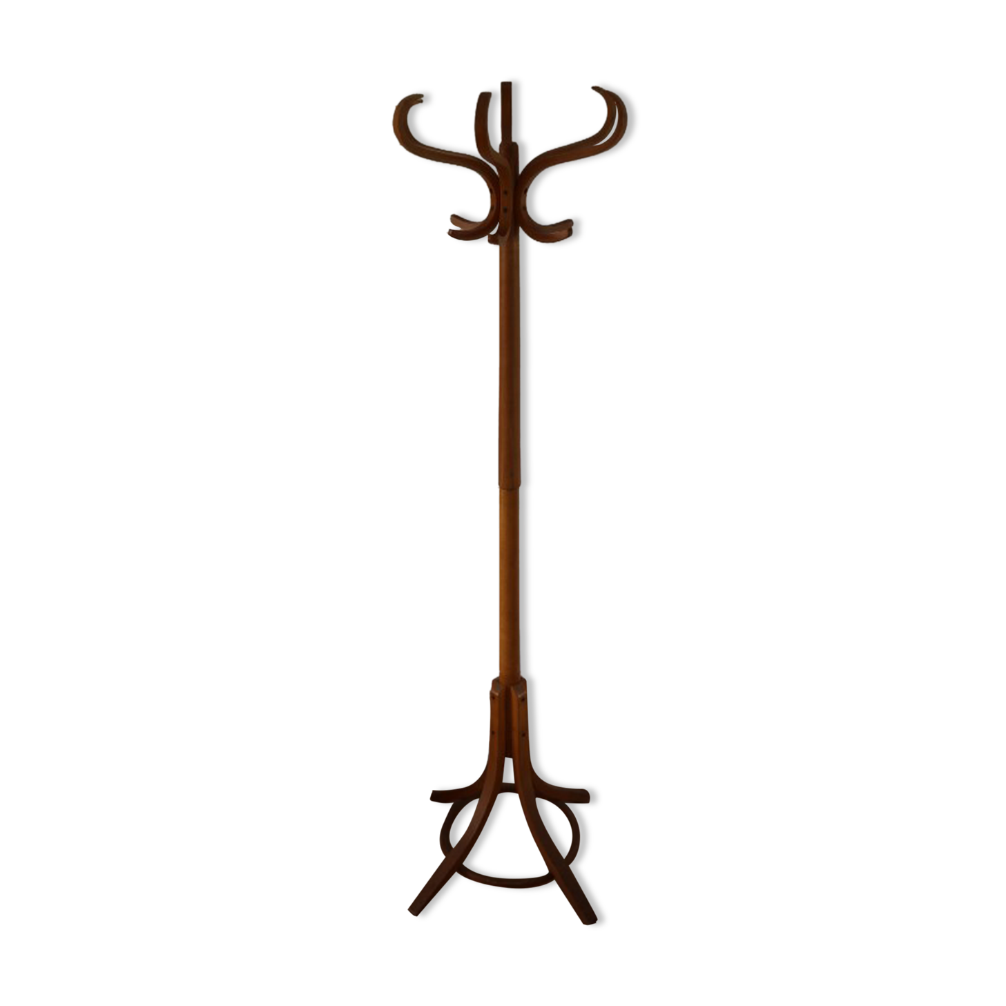 Baumann clear parrot coat rack