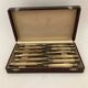 Complete Set of 12 Stainless Steel Cheese Knives with Bakelite Handles and Art Deco Ferrules