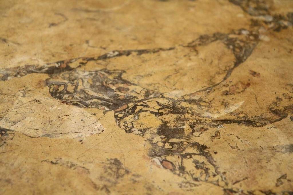 Italian Louis XVI White Lacquer and Giltwood Console with Scagliola Siena Marble Top