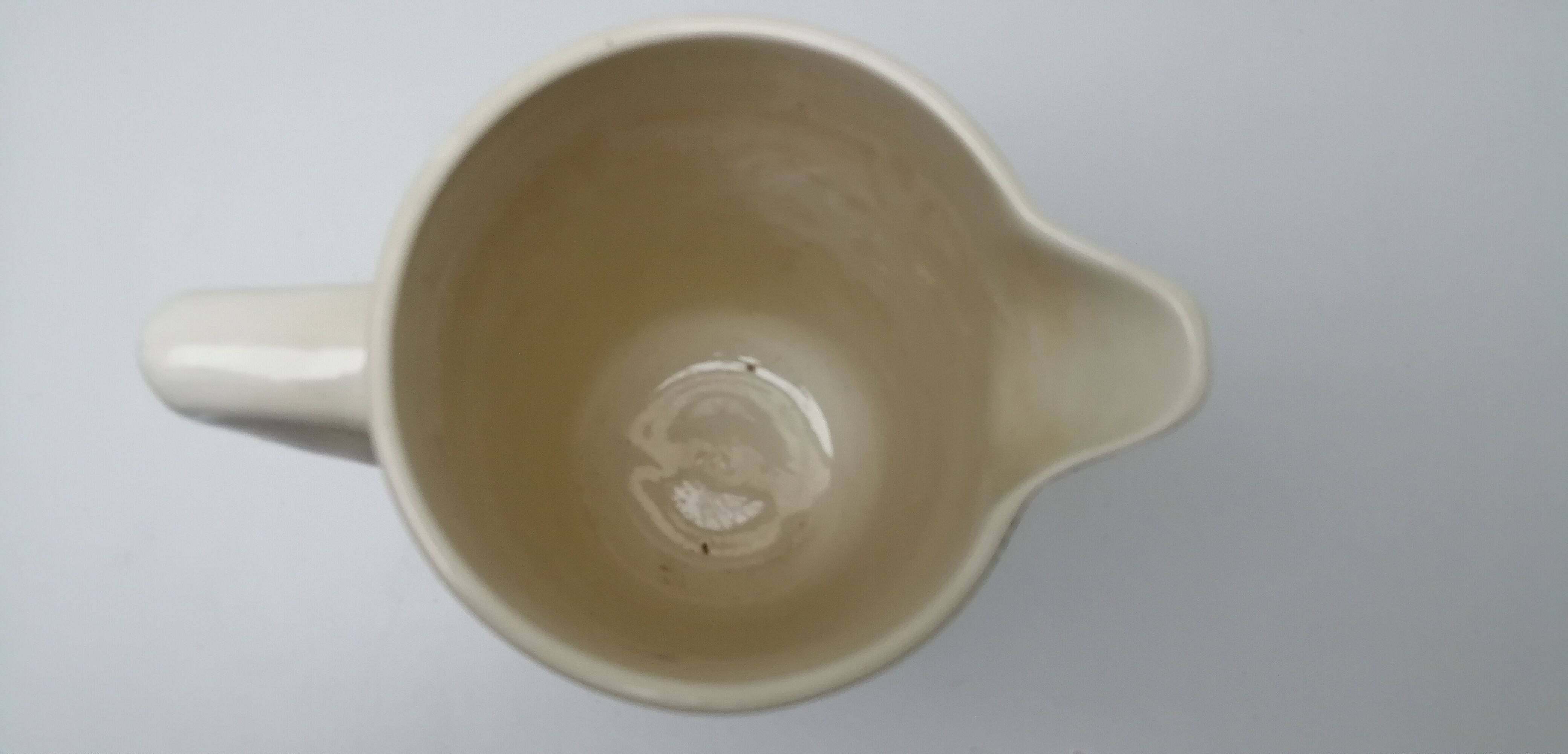 Toilet broc ceranord st amand