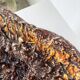 Plat en céramique fatlava Vallauris