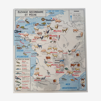 Ancienne affiche scolaire vintage années 60 mdi carte de France élevage secondaire et pêche voies na