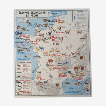 Old vintage school poster 60s mdi map of France secondary breeding and fishing ways na