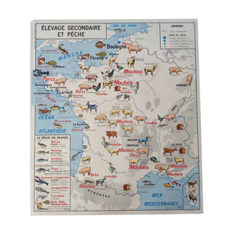 Ancienne affiche scolaire vintage années 60 mdi carte de France élevage secondaire et pêche voies na