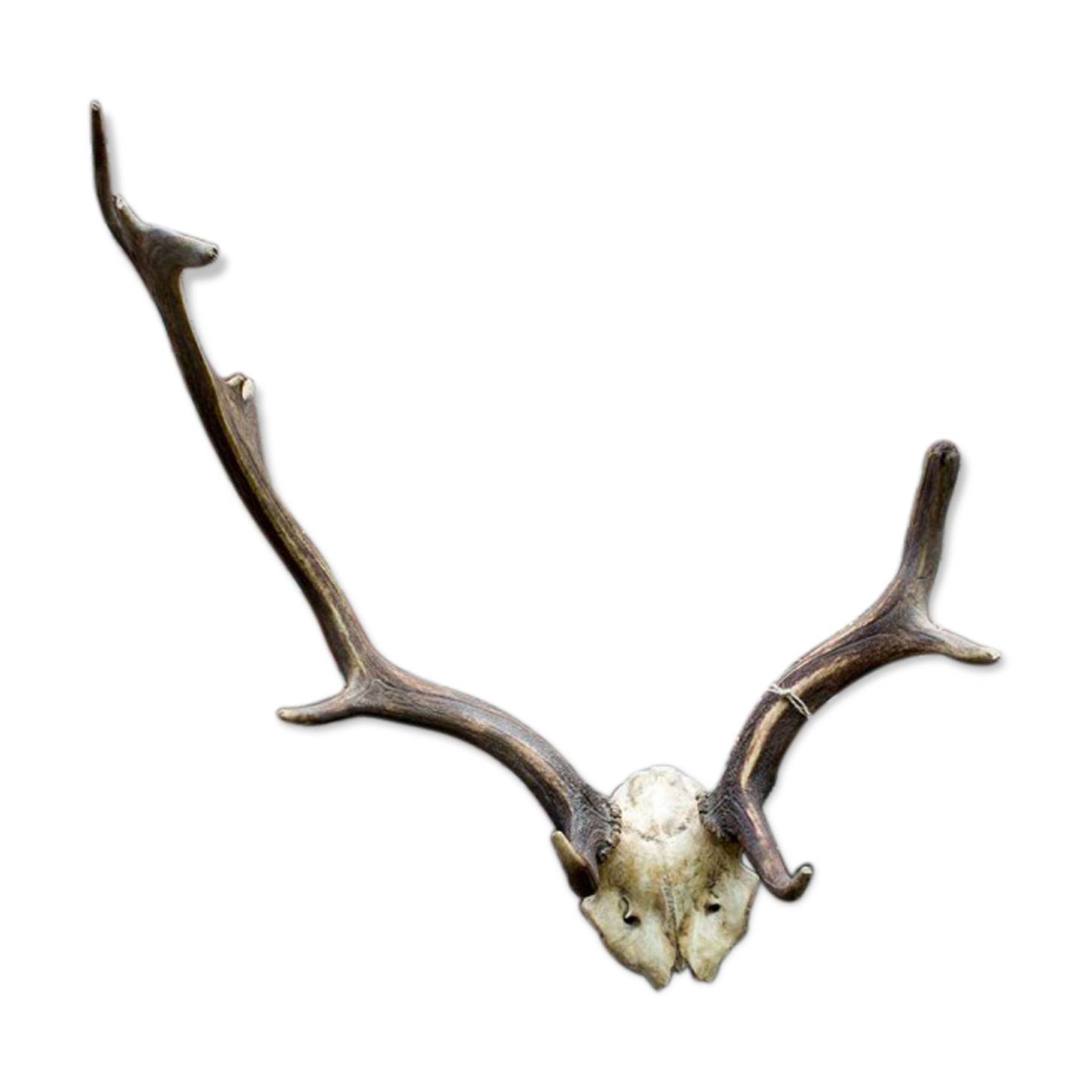 Decorative suede wood