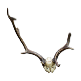 Decorative suede wood