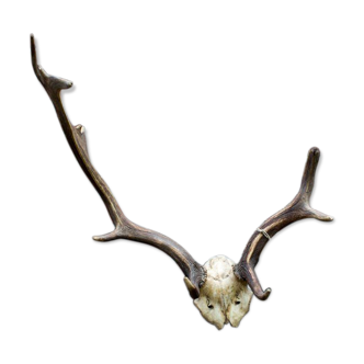 Decorative suede wood