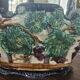 Grande jardinière barbotine art nouveau