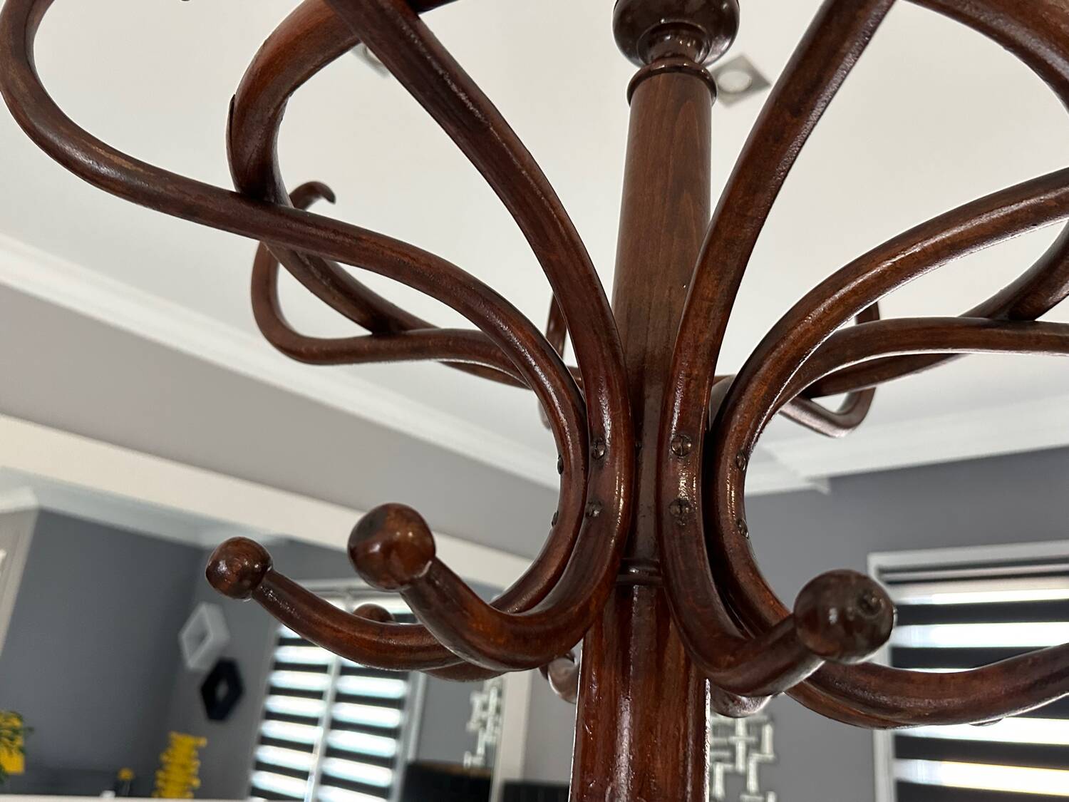 Parrot coat rack Thonet 1920s