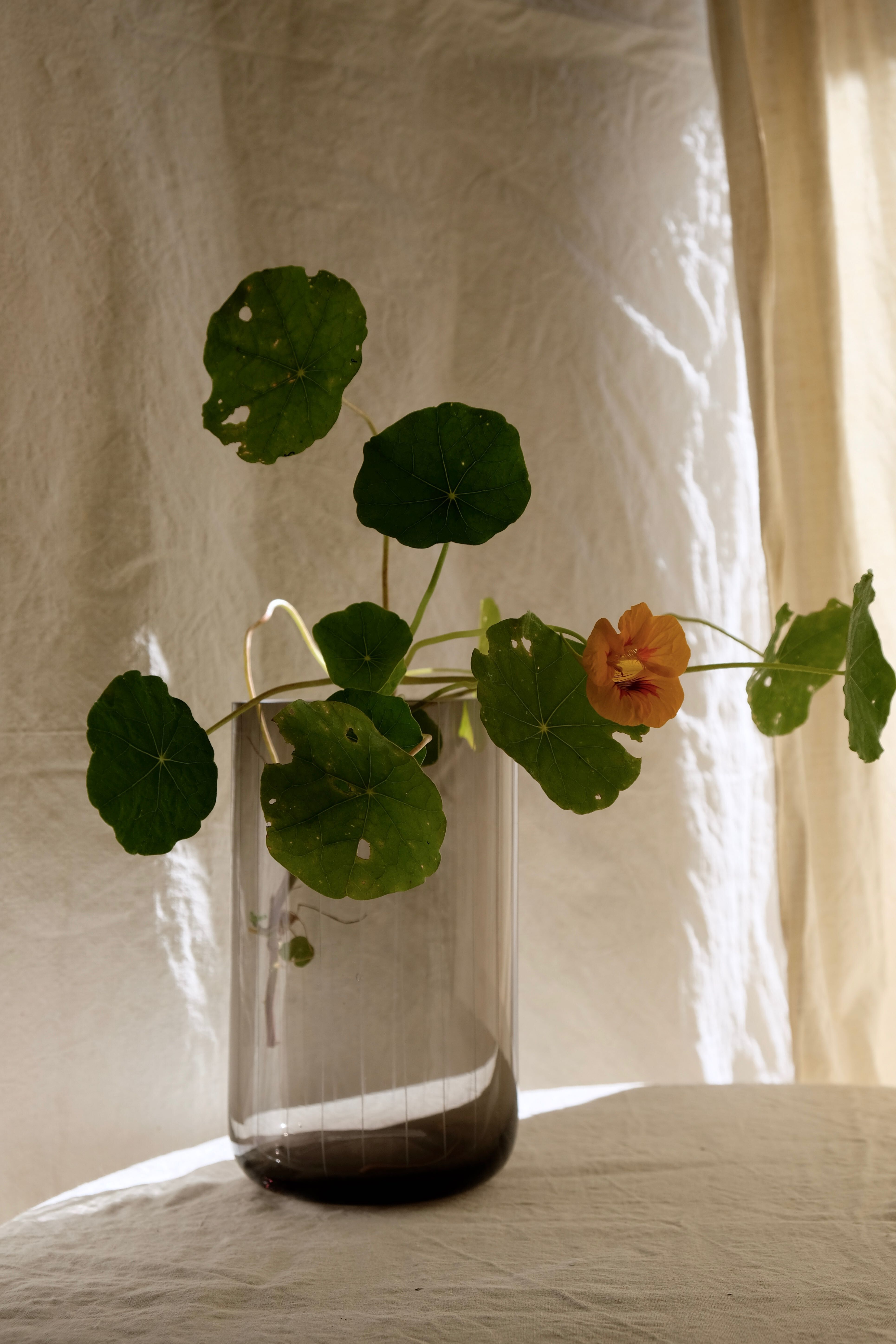 Vase mouth-blown glass 50s