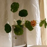 Vase mouth-blown glass 50s