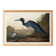 Poster about the little blue egret, based on an old engraving from 1827.