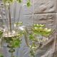 large Venetian Murano glass chandelier from the 1950s