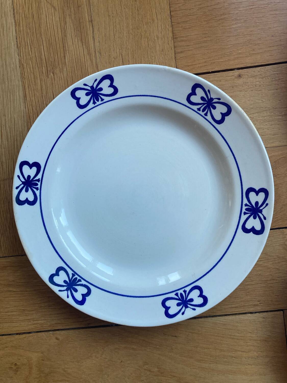 Blue butterfly patterned dinner plates