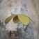 Flower suspension metal structure 6 petals in olive green linen