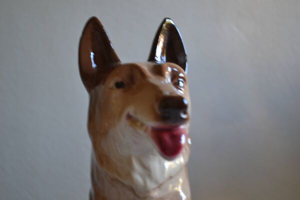 Chien Loup Berger Allemand Céramique Saint Clément L 39 cm H 26 cm