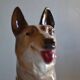 Wolf Dog German Shepherd Ceramic Saint Clément L 39 cm H 26 cm