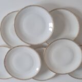 Set of 8 Limoges porcelain plates