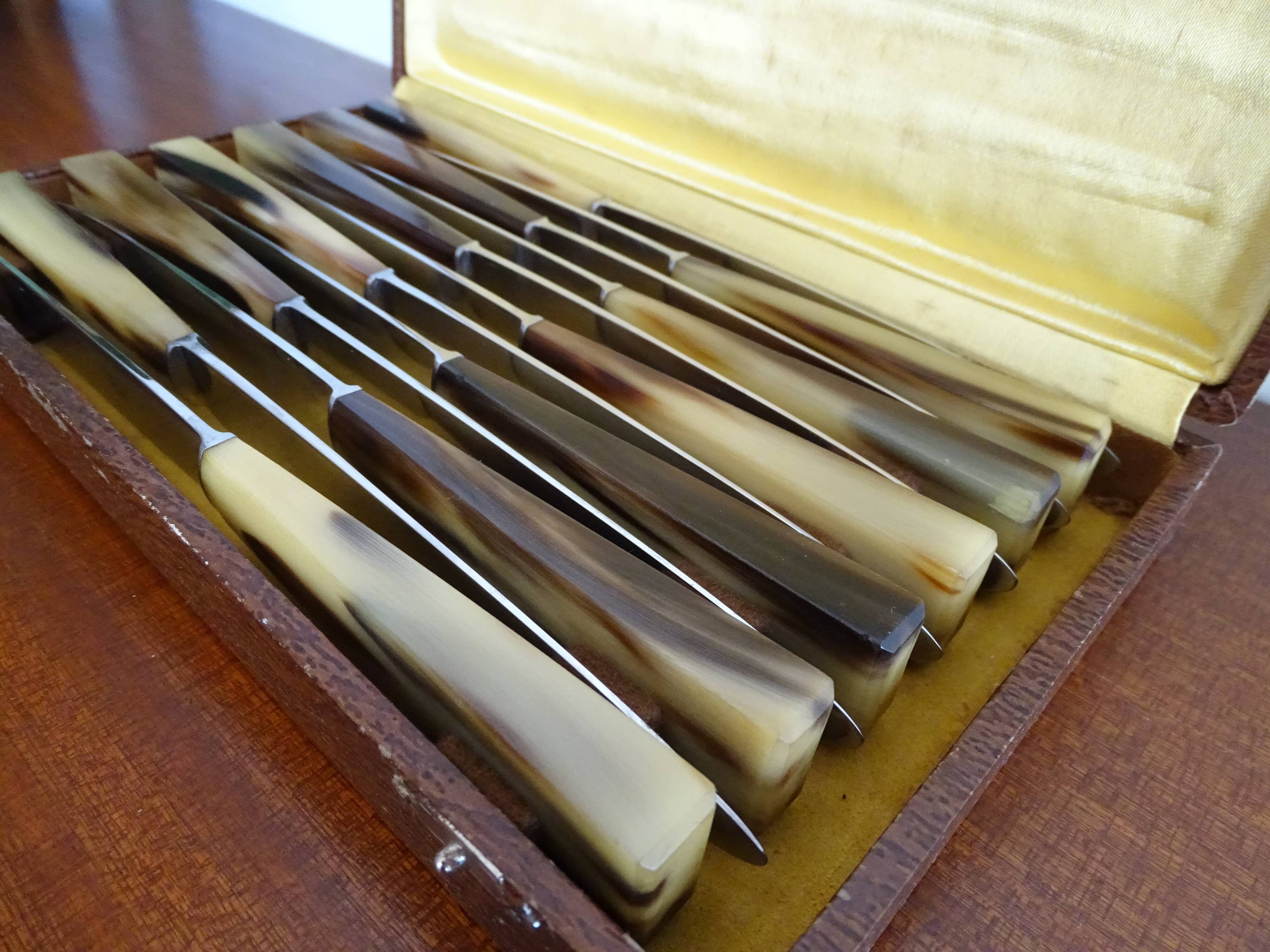 12 old Art Deco horn and stainless steel knives in case