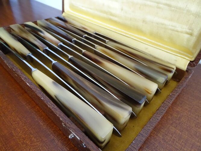 12 couteaux anciens Art déco corne et acier inoxydable en écrin