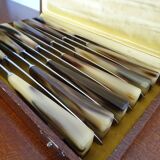 12 couteaux anciens Art déco corne et acier inoxydable en écrin