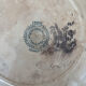 Old ironstone plate from Choisy-le-Roi, Hte Boulenger and Co.