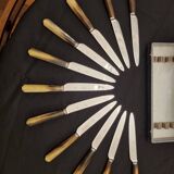 Sabatier table knives
