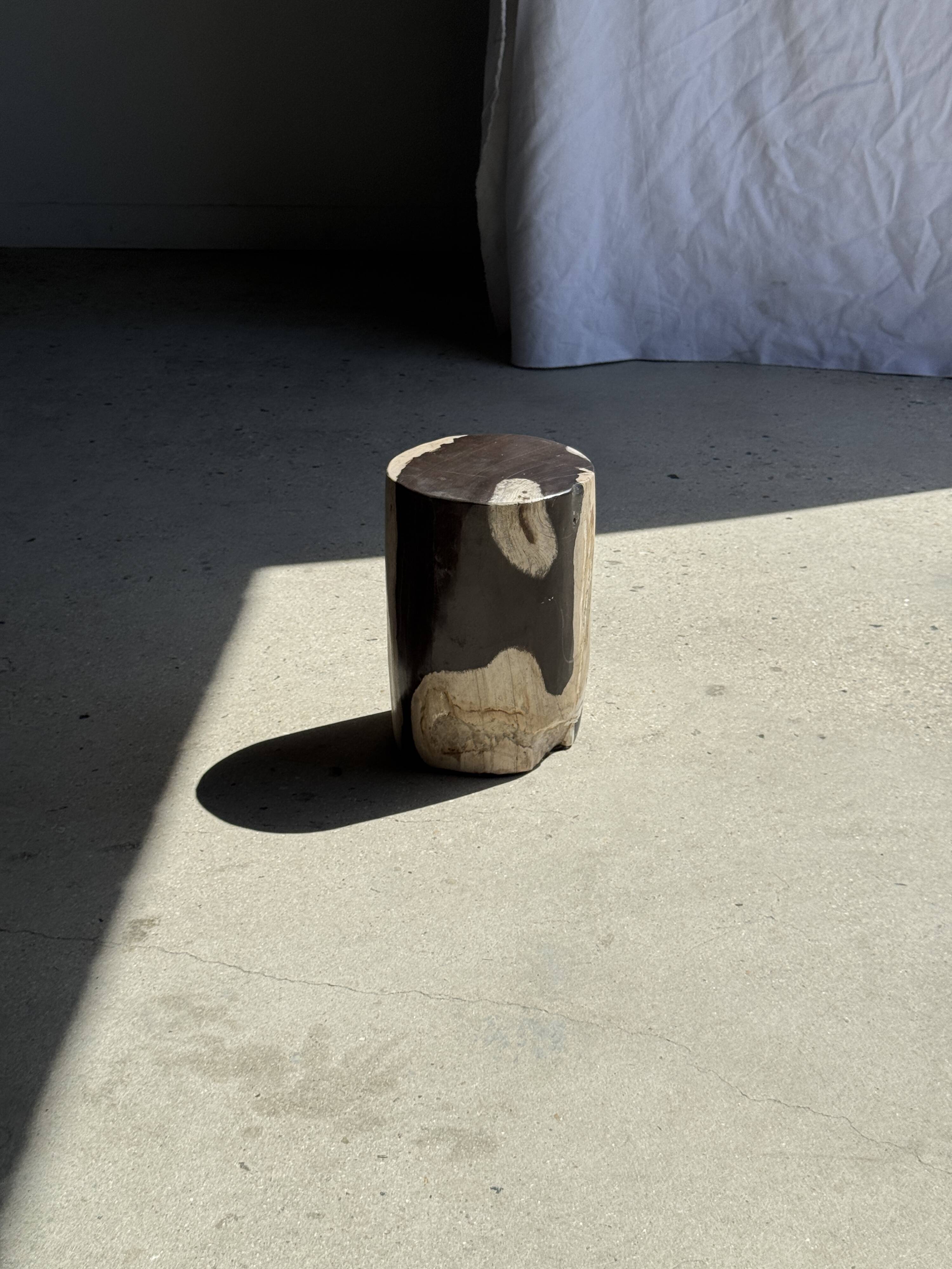 Small side table in black and white petrified wood H28 D18