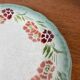Set of 2 Choisy le roi plates, ironstone, floral motif, late 19th century