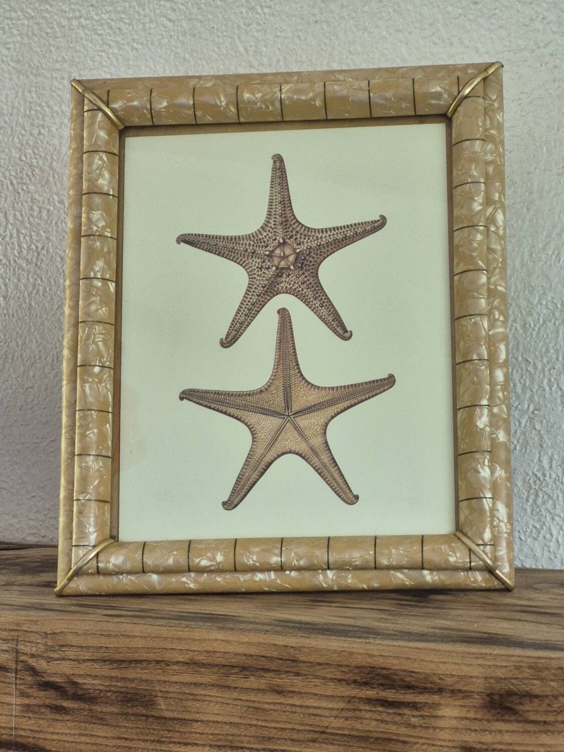 Vintage illustration