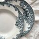 2 St Amand ironstone soup plates “Narcissus”