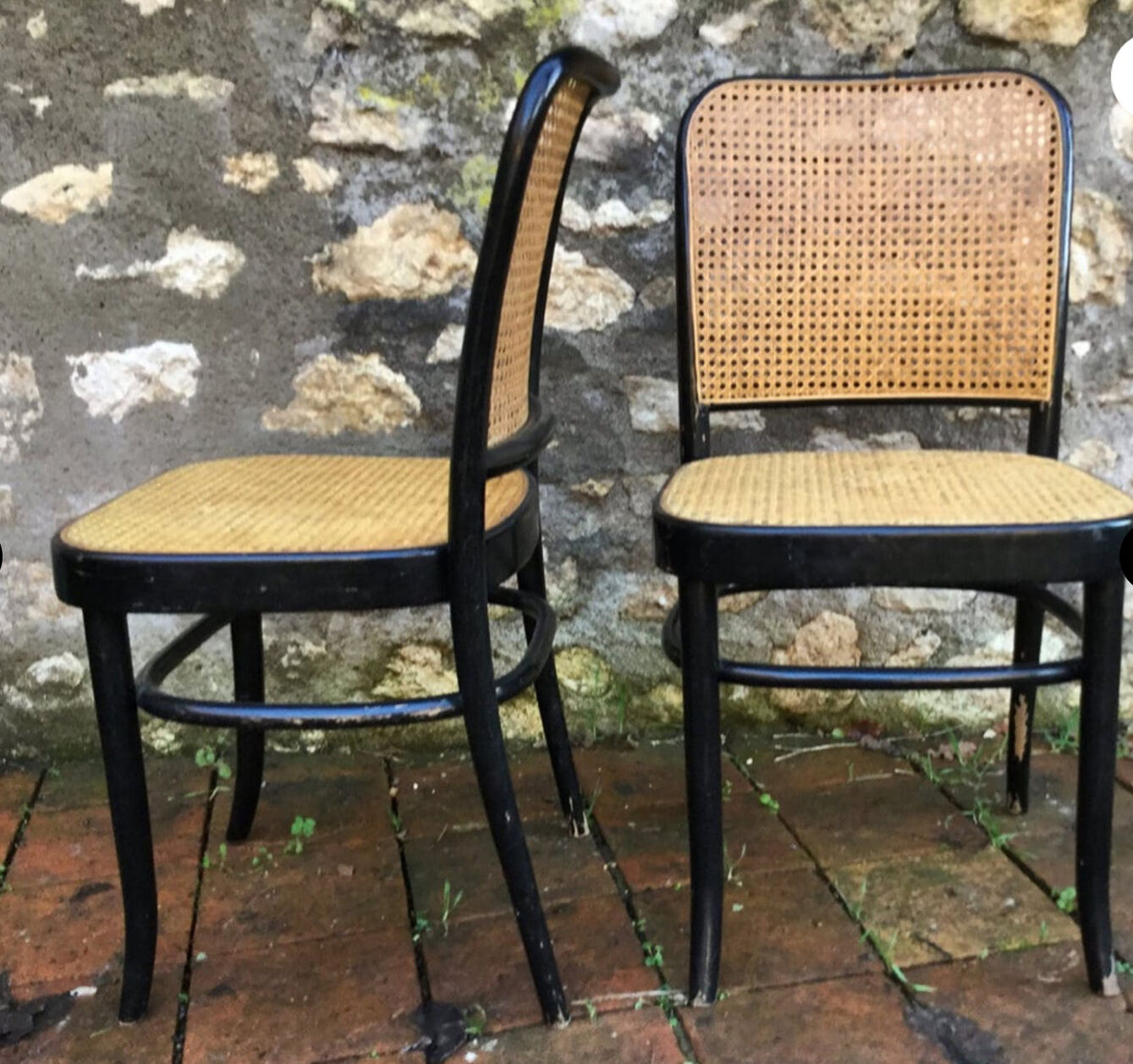 Pair of chairs Thonet 811