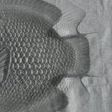 Large fish plate transparent glass Arcoroc vintage L38.5
