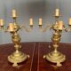 Luxurious pair of antique gilded bronze candelabra in the exquisite style of Louis XV.