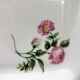 Two rectangular serving dishes, "The National Trust – England"