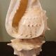 Lampe coquillage