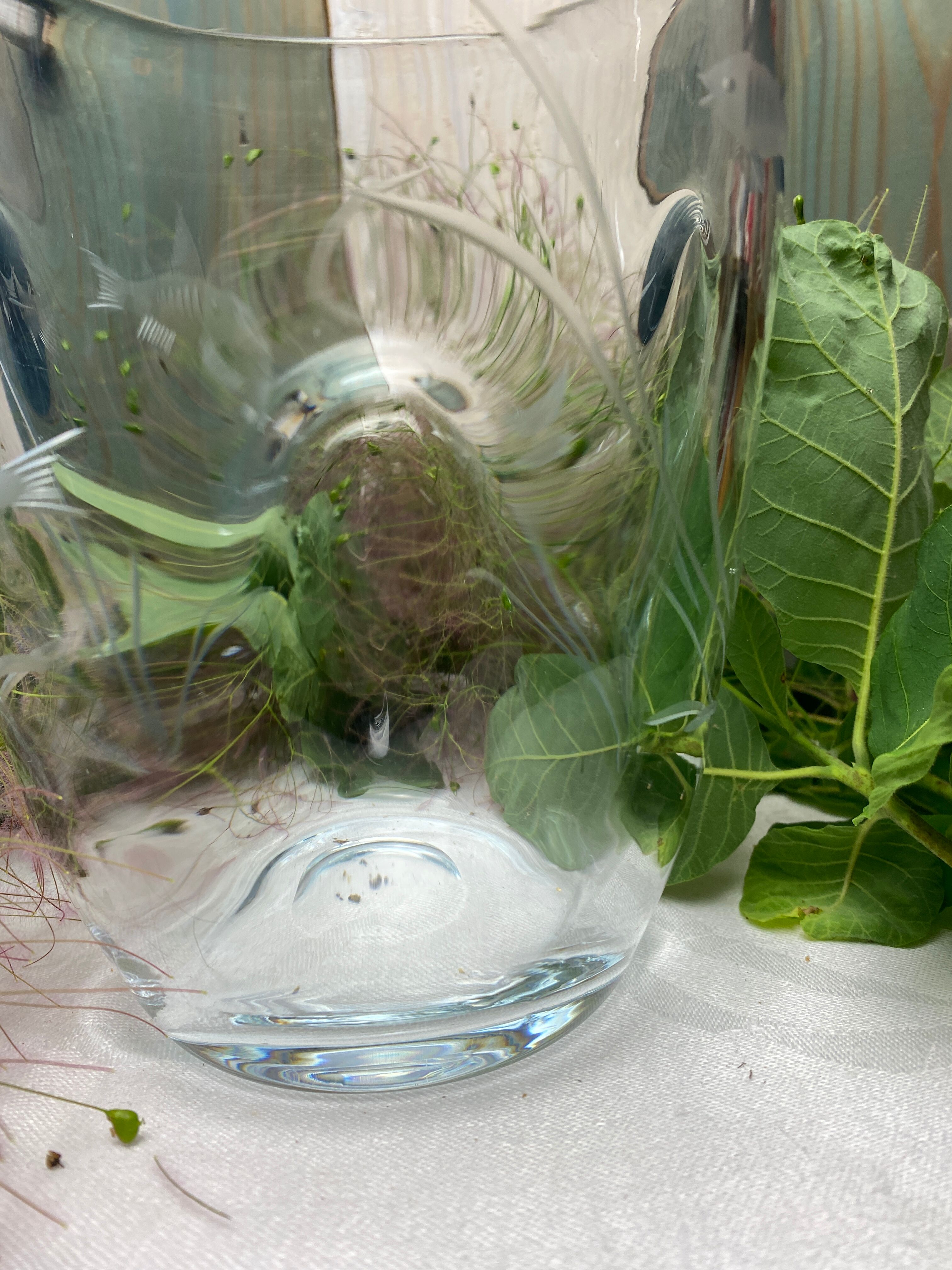 Pinched crystal vase engraved with vintage marine motifs