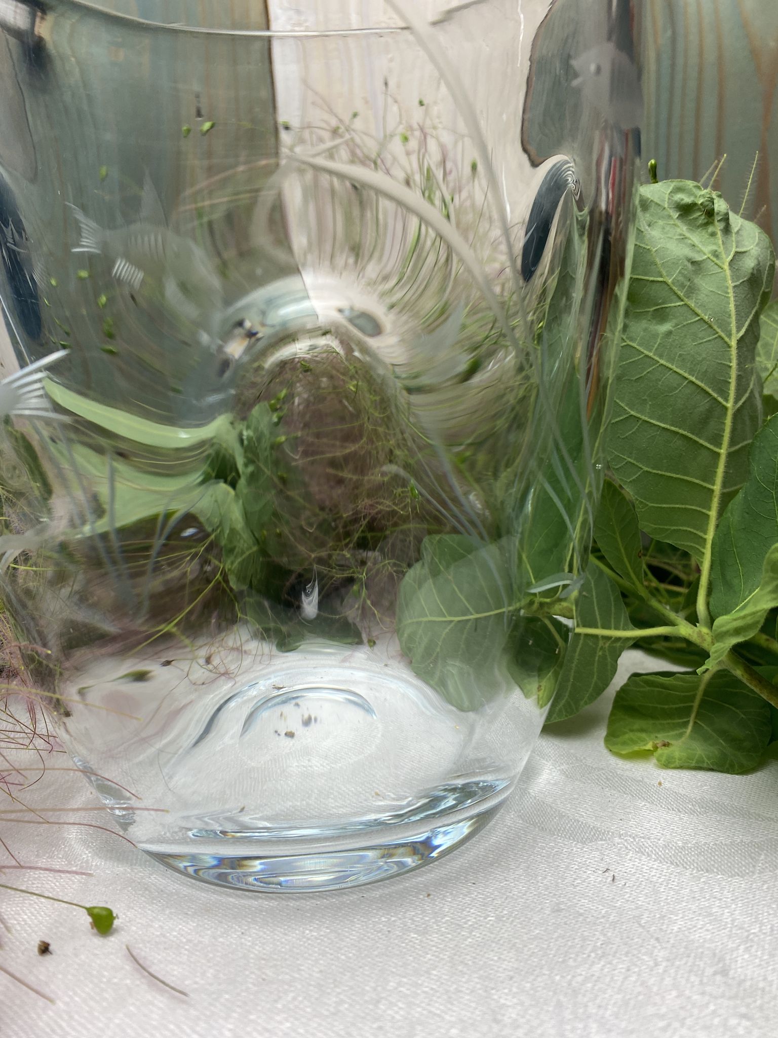 Pinched crystal vase engraved with vintage marine motifs
