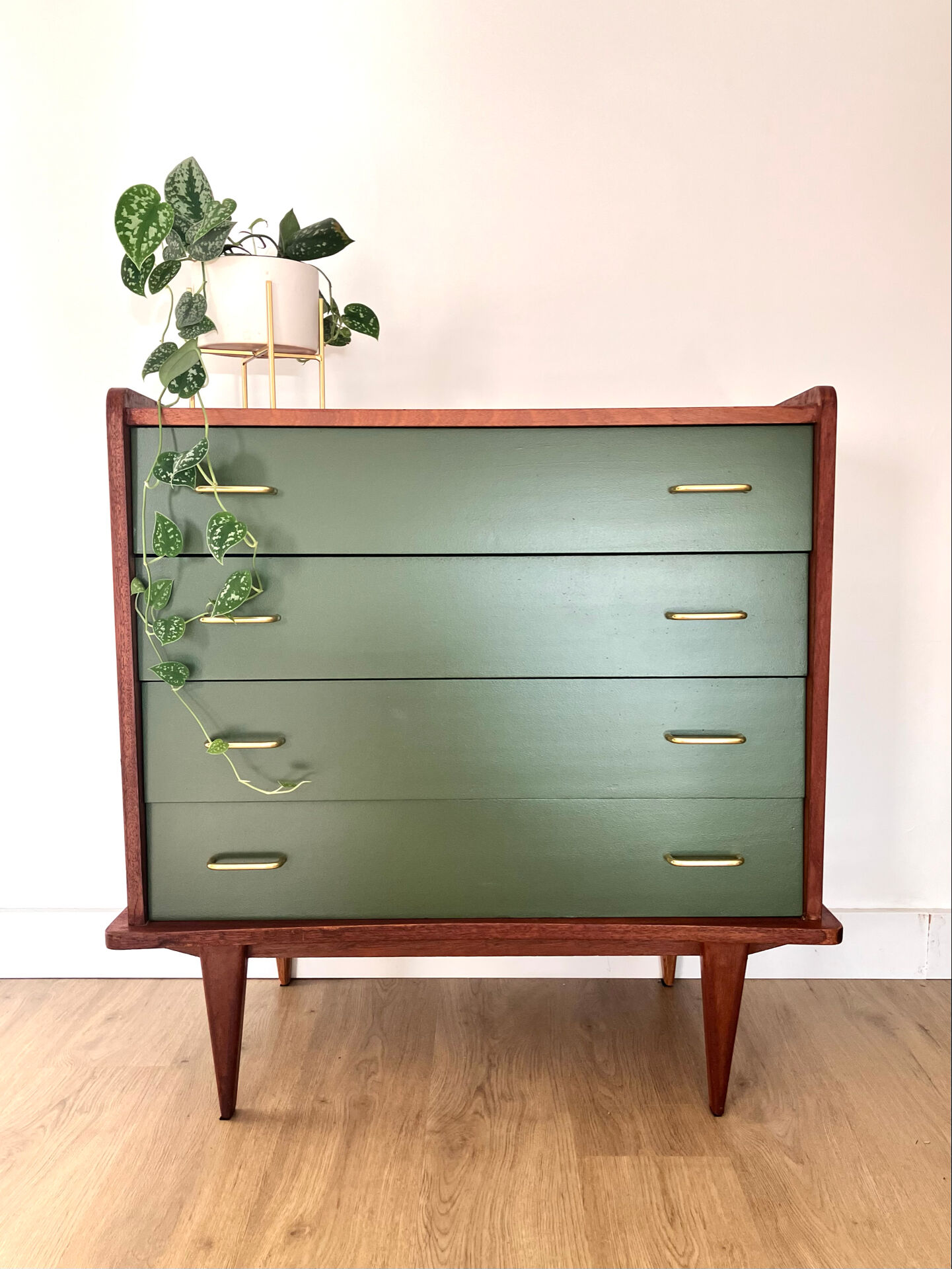Compass leg chest of drawers in fig tree green
